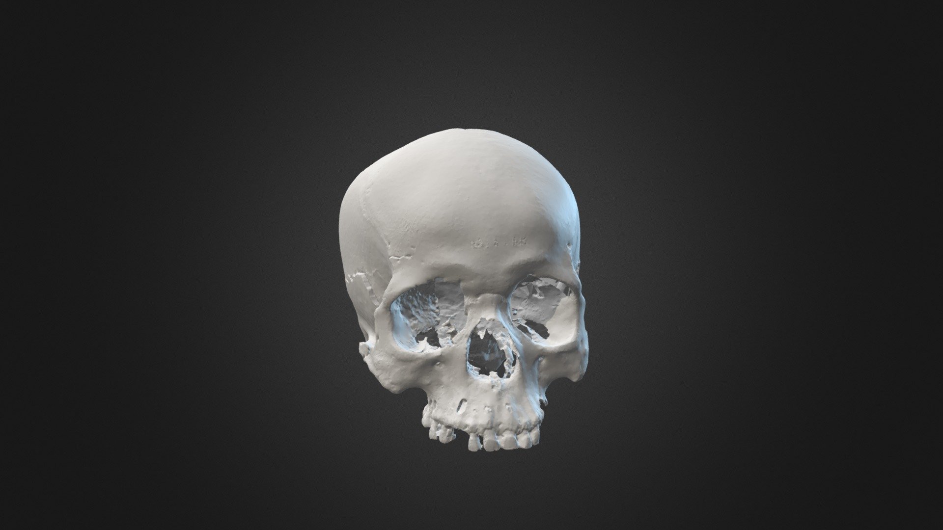 skull 2
