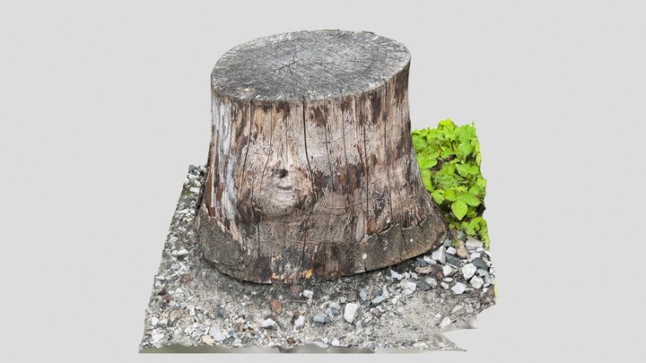 RealityScan: Log, 2022-06-17 3D Model