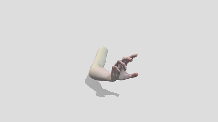 realsitic Arm 3D Model