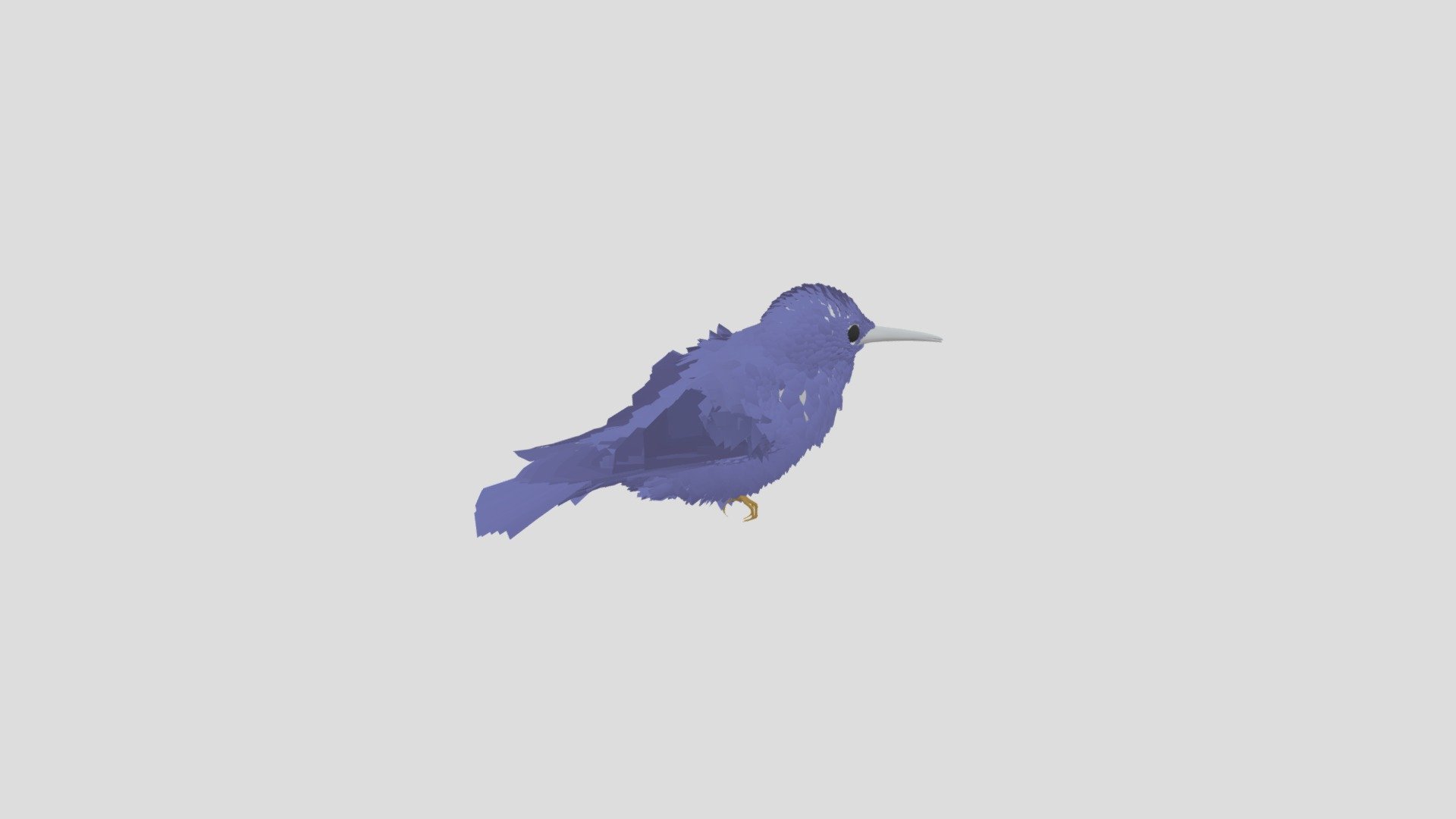 Humming Bird Sitting Idle - Download Free 3D model by domayor [17b50f4 ...