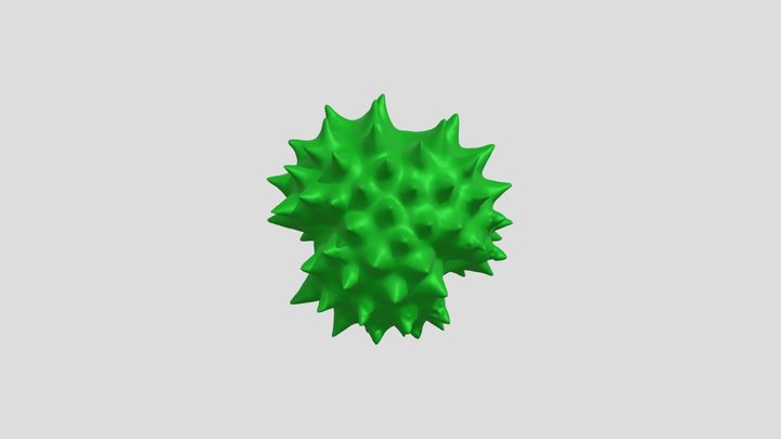 European goldenrod (Solidago virgaurea) pollen 3D Model