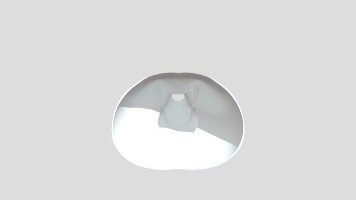 My model 3D Model