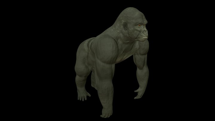 SilverBack Gorilla 3D Model