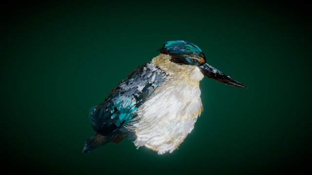 Single Kingfisher 3D Model