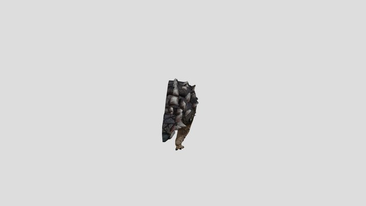 Ankylosaurus magniventris 3D Model