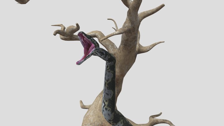 Titanoboa With Trees