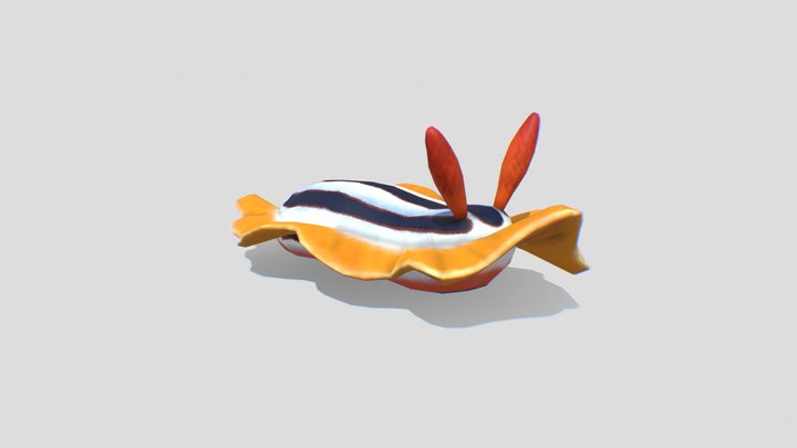Lowpoly Seaslug 3D Model