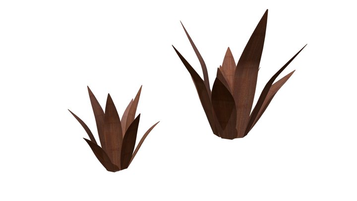 Agaves corten 3D Model