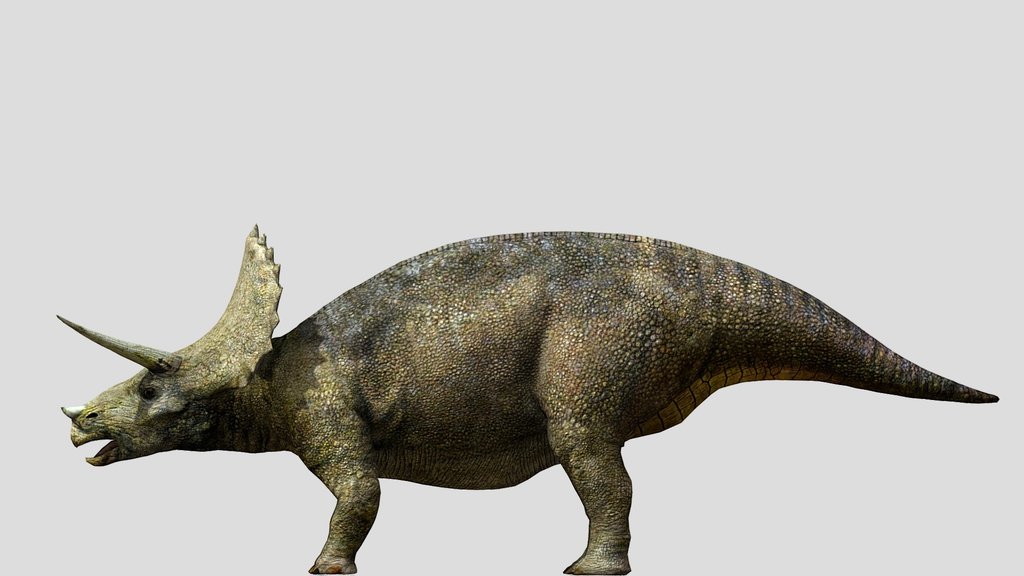 DracoWarrior's Triceratops 1