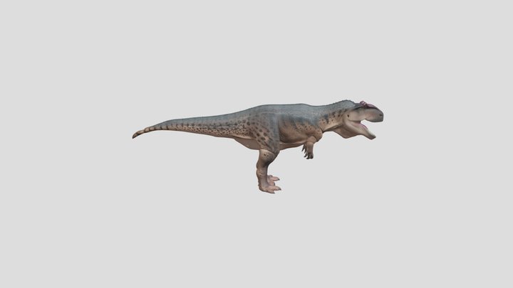 Giganotossaurus 3D Model