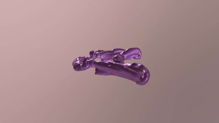 BarX1 larval zebrafish jaw 3D Model