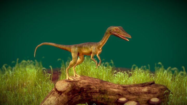 Compsognathus Dinosaur Run Pose 3D Model 3D Model $139 - .3ds .c4d .fbx .ma  .obj .max - Free3D