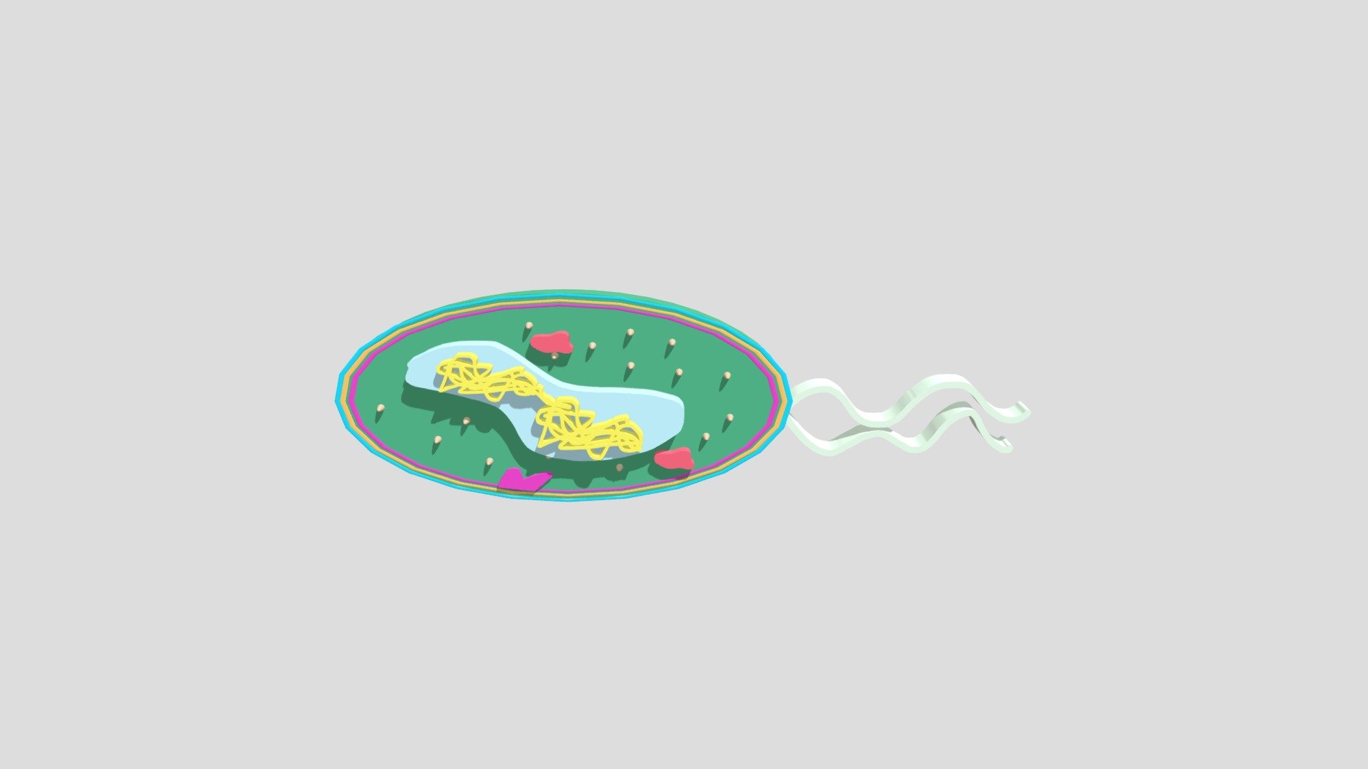 MICROUGHS_helicobacterpylori_BRRR_DMO