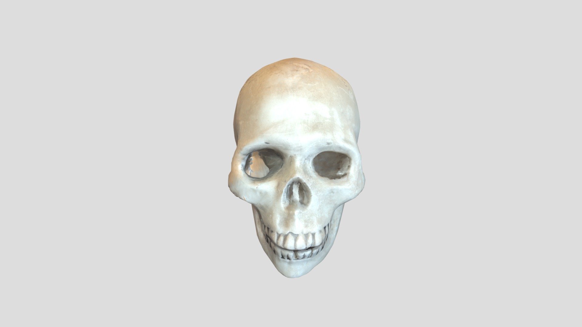 Skull