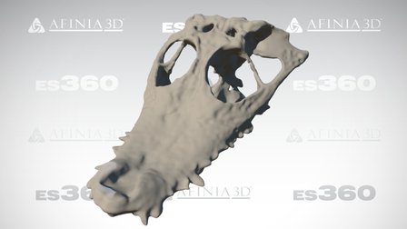 Crocodile Skull, by Afinia ES360 3D Scanner 3D Model