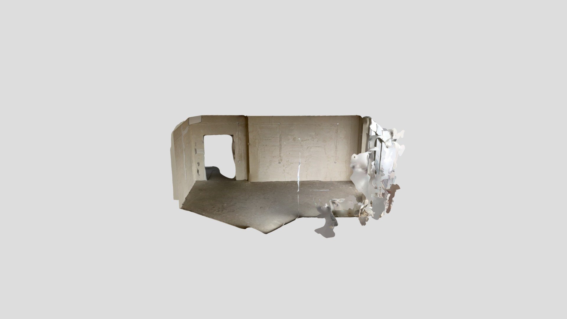 Polycam capture