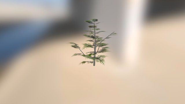 Bush 3D Model