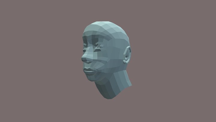 Gezicht Low Poly 3D Model