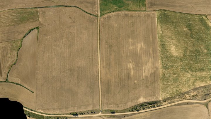 Campo 2
