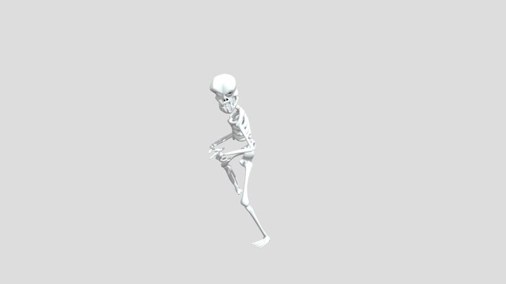 Skulli 3D Model