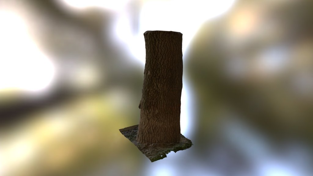 The Tree