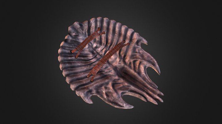 Chitin Shield 3D Model