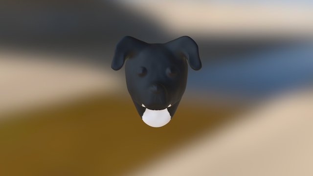 My model 3D Model