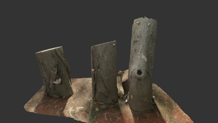 Tree Stumps 3D Model