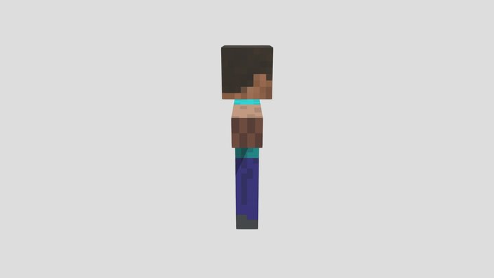 Steve-rig 3D Model
