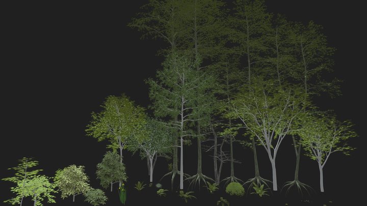 Trees & Vegetation pack 3D Model