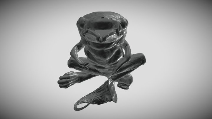 Western Clawed Frog Embryo | Xenopus Tropicalis 3D Model