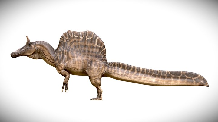Spinosaurus mirabilis