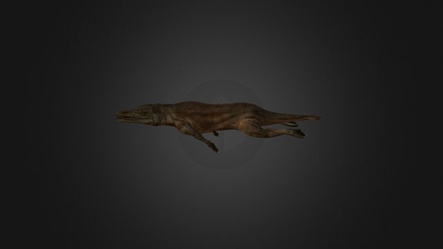 Rodhocetus 3D Model