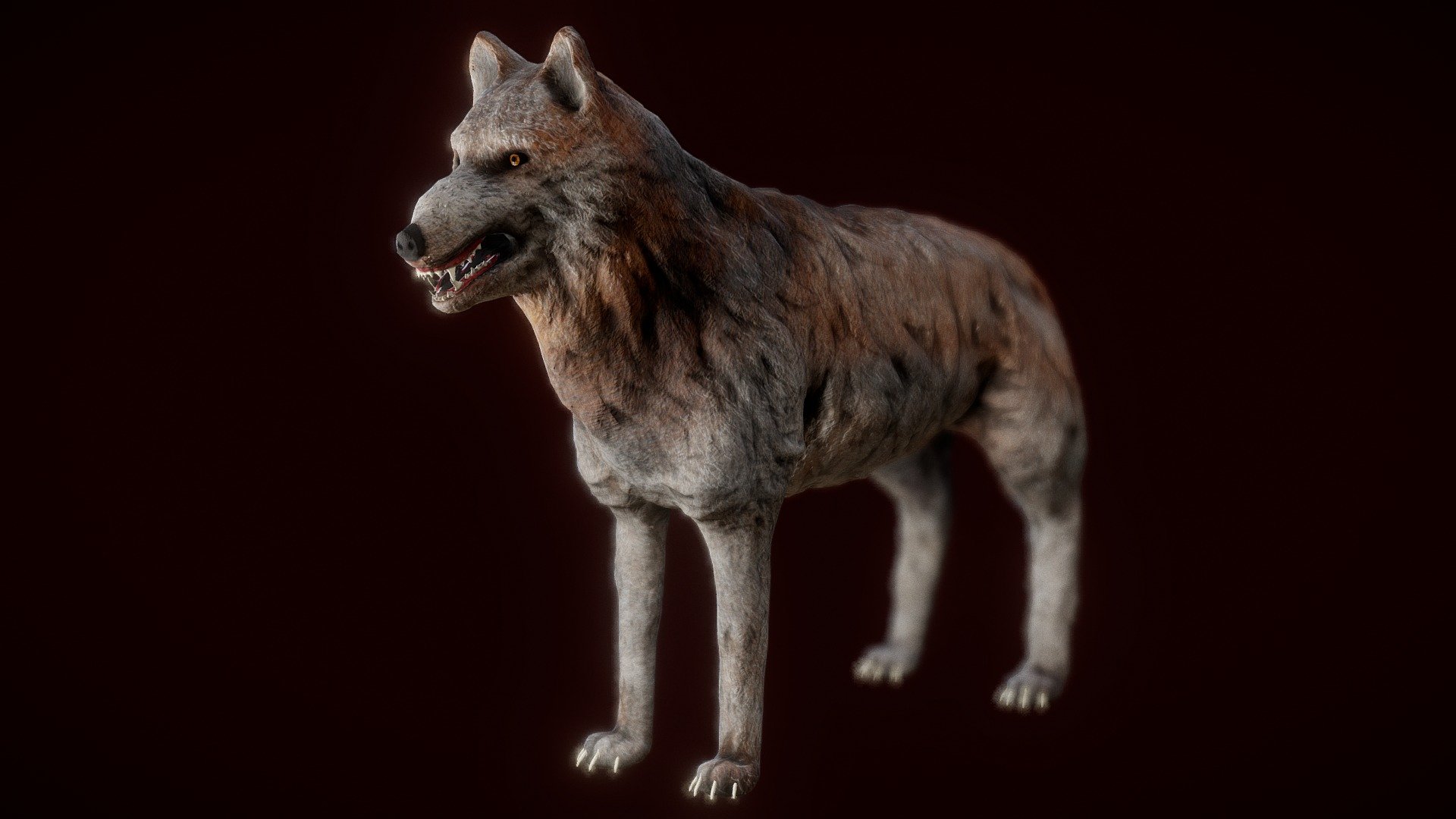Wolf - 3D model by amt16 [17f1900] - Sketchfab