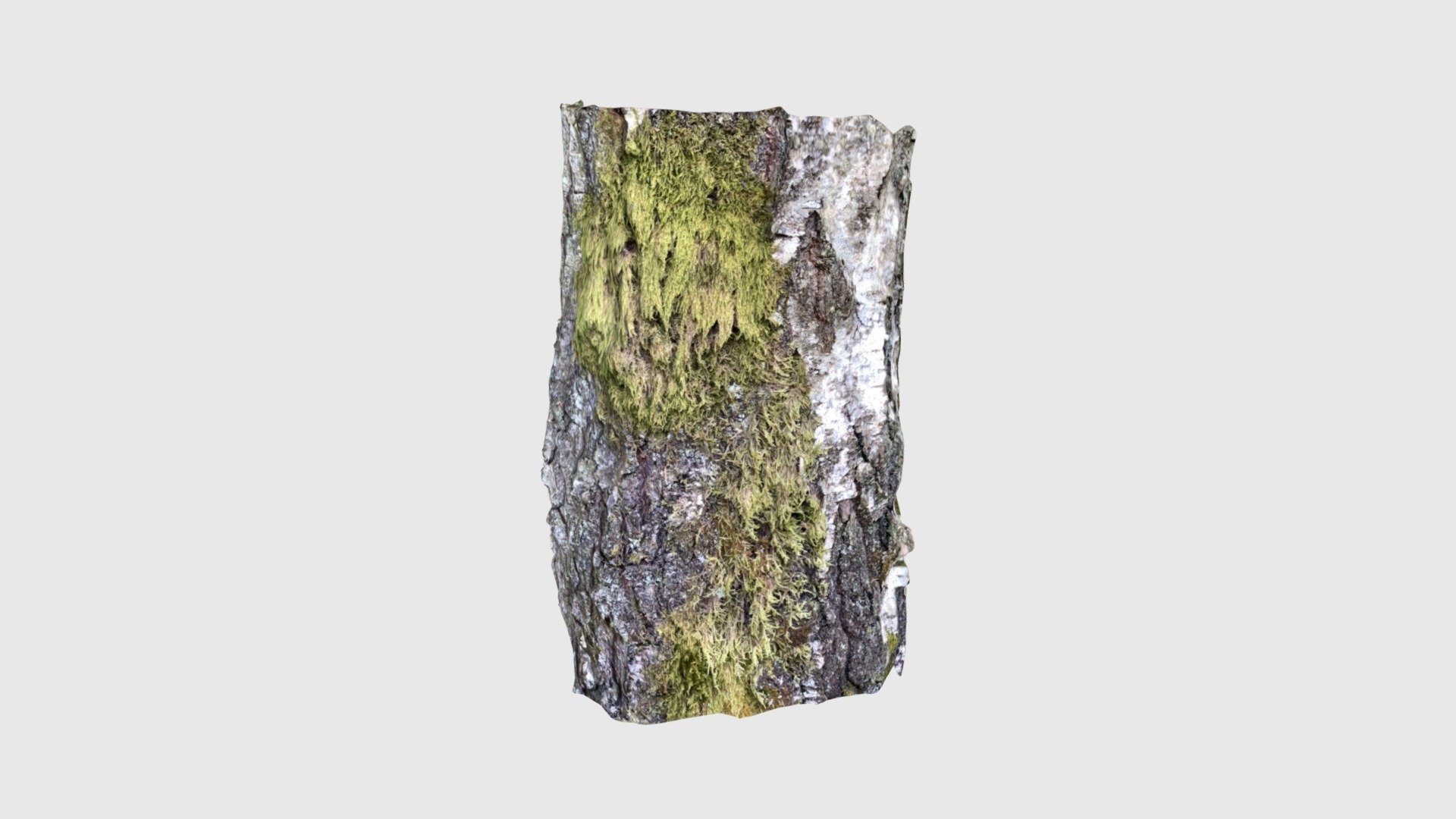 Birch2203220839