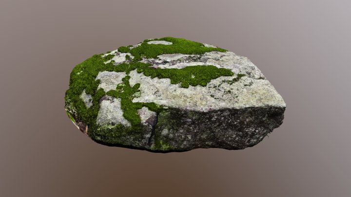 190718_kakiat_moss_striped_rock 3D Model