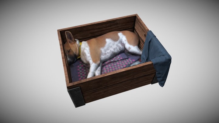 Dog sleeping in a crate (photoscan) 3D Model