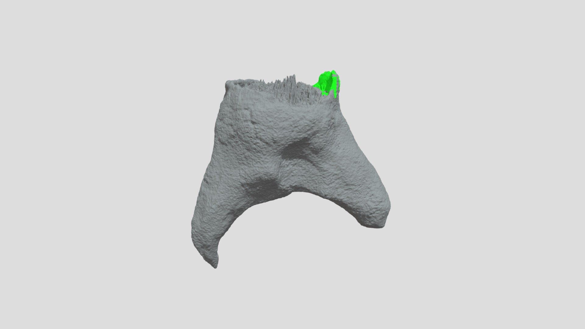 stump Highpoly