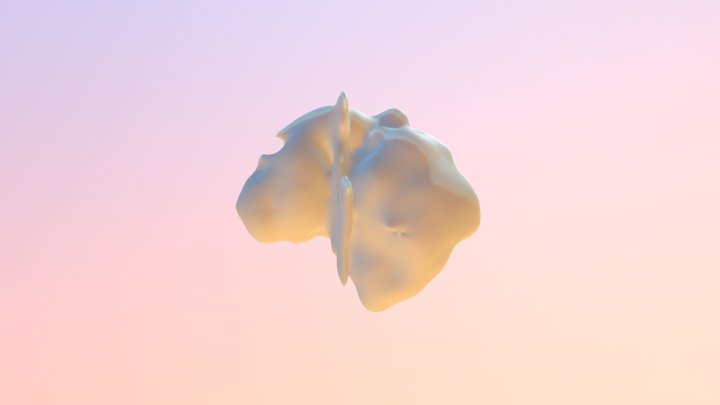 110117 3D Model