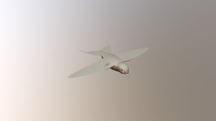 Bird Swallow Cartoonish No Rig 3D Model