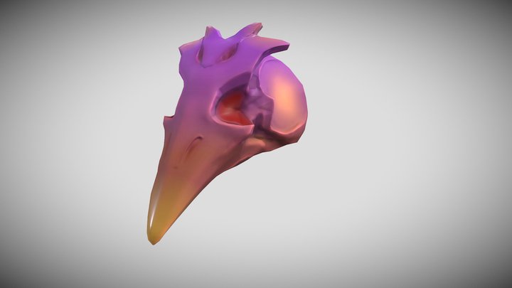 BirdSkull 3D Model