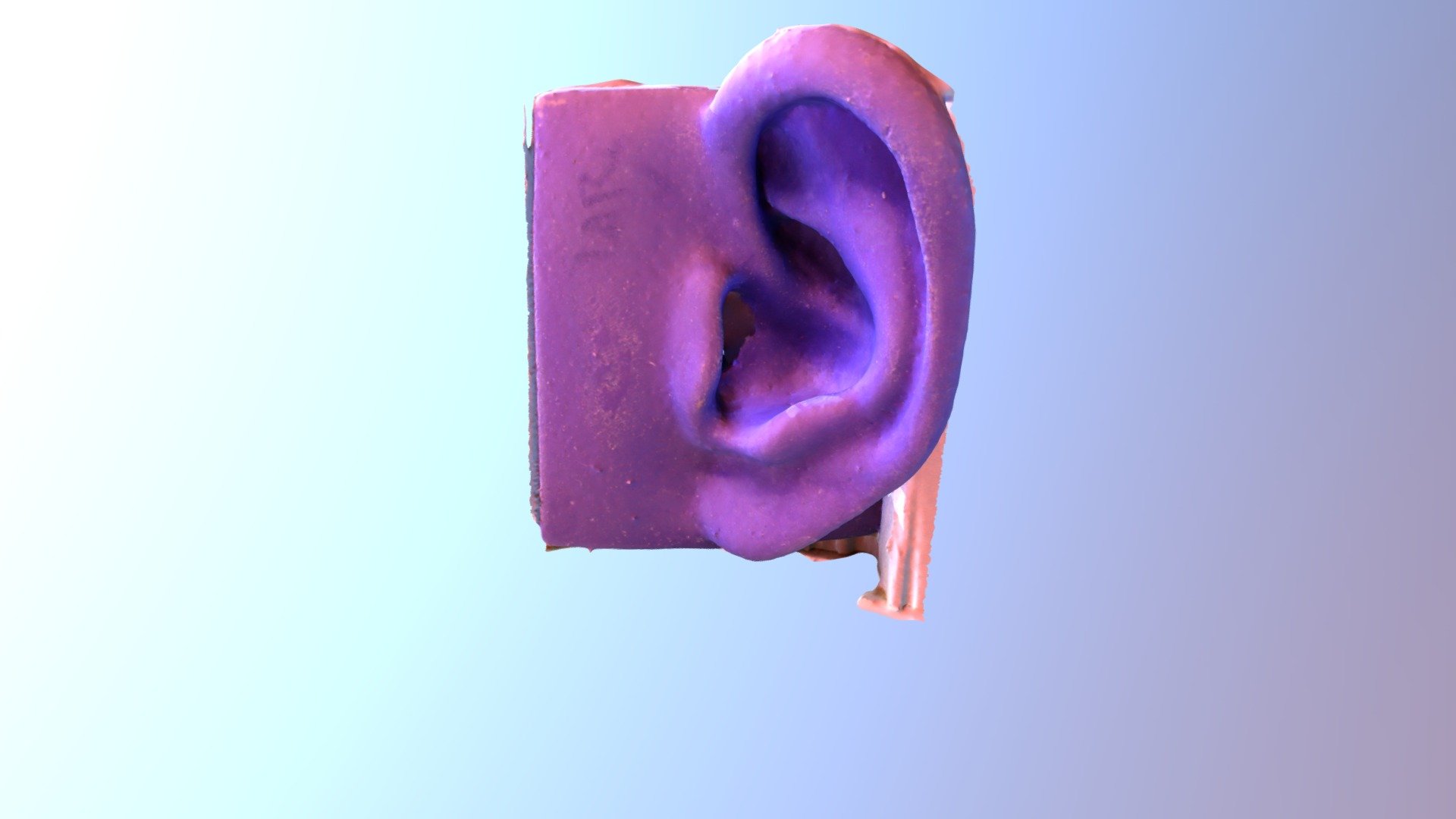 Rubber Ear SfM Test