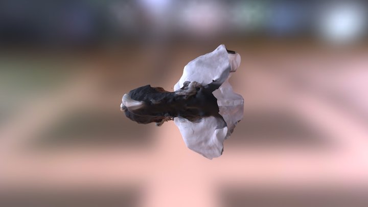 JO3 3D Model