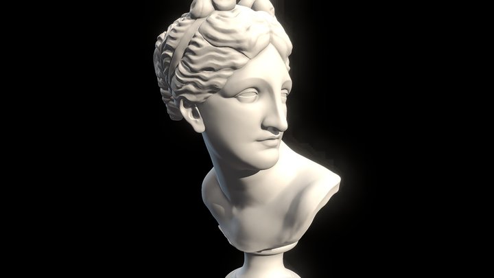 Bust Sculpt Study for Print 3D Model