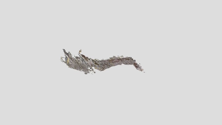 quarry outcrop coticule layers 3D Model