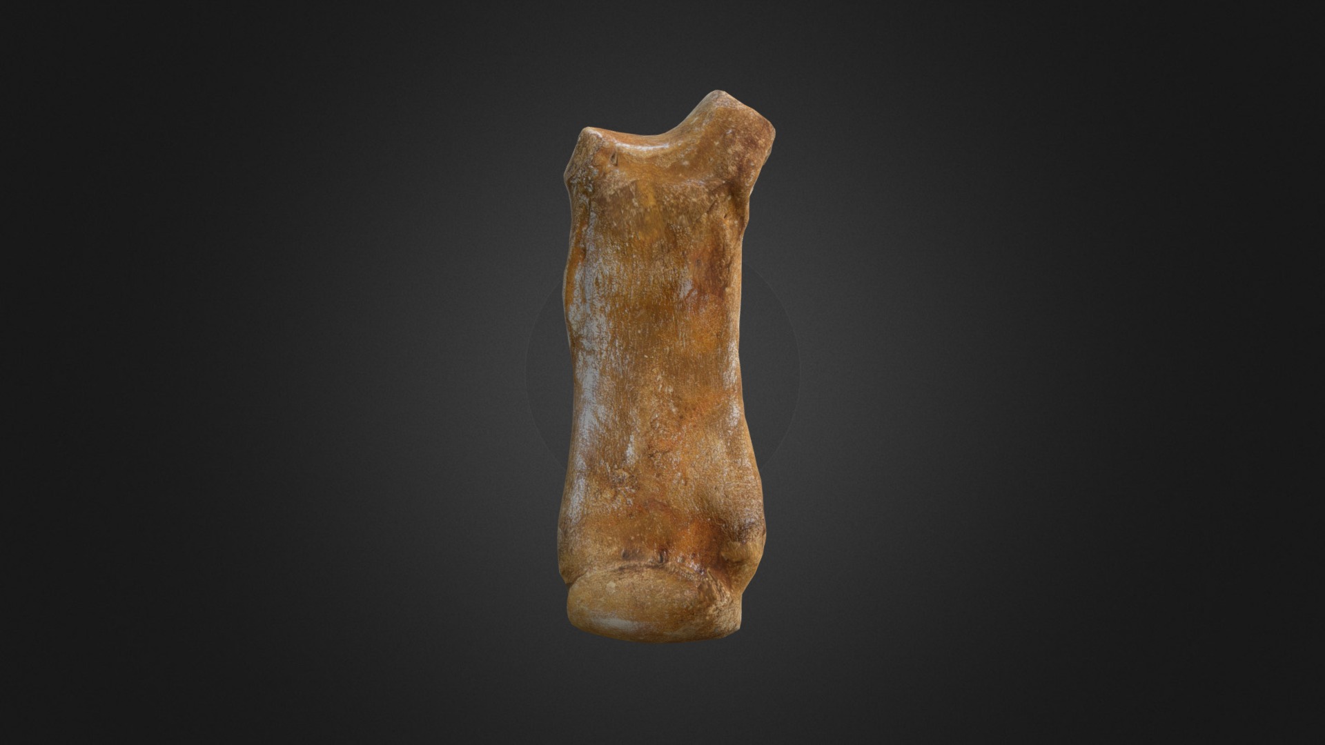 3D model Woolly Rhino Metacarpal 3rd - This is a 3D model of the Woolly Rhino Metacarpal 3rd. The 3D model is about a close-up of a stone.
