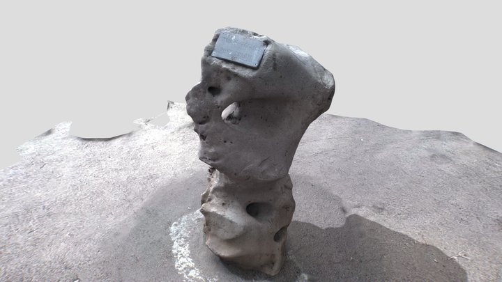 Traditional_photogrammetry_from_video_Rock_3DF_Z 3D Model