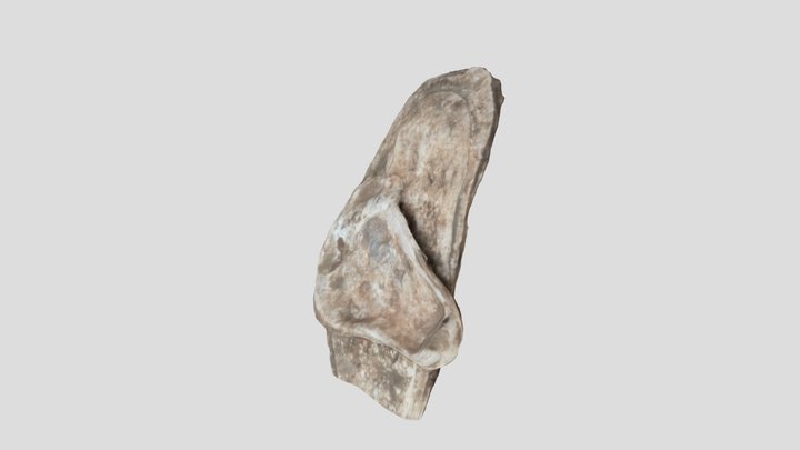 BOB Oyster2