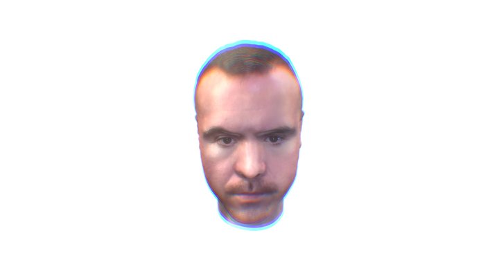 Head Scan 3D Model