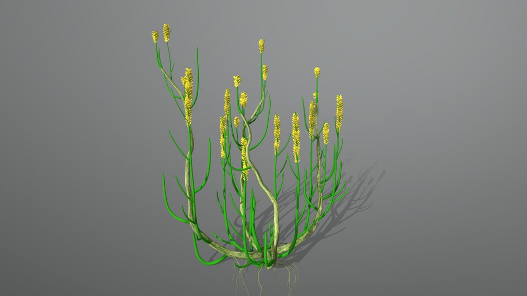 Lochkovian - Old Red Sandstone - UK - A 3D model collection by ...